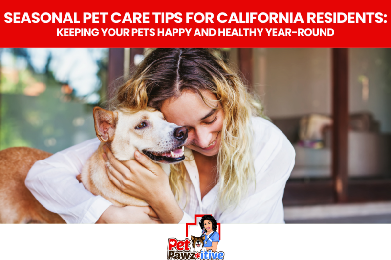 Seasonal Pet Care Tips for California Residents: Keeping Your Pets Happy and Healthy Year-Round
